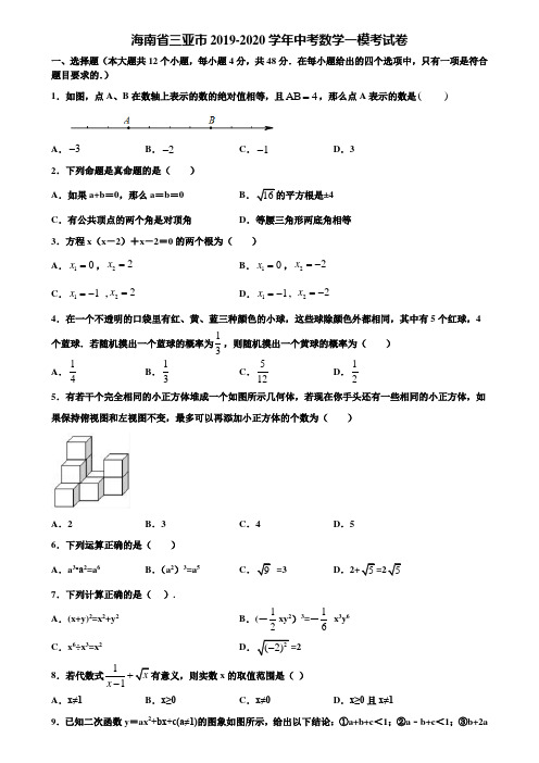 海南省三亚市2019-2020学年中考数学一模考试卷含解析