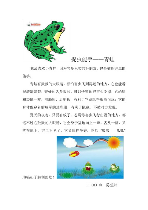捉虫能手