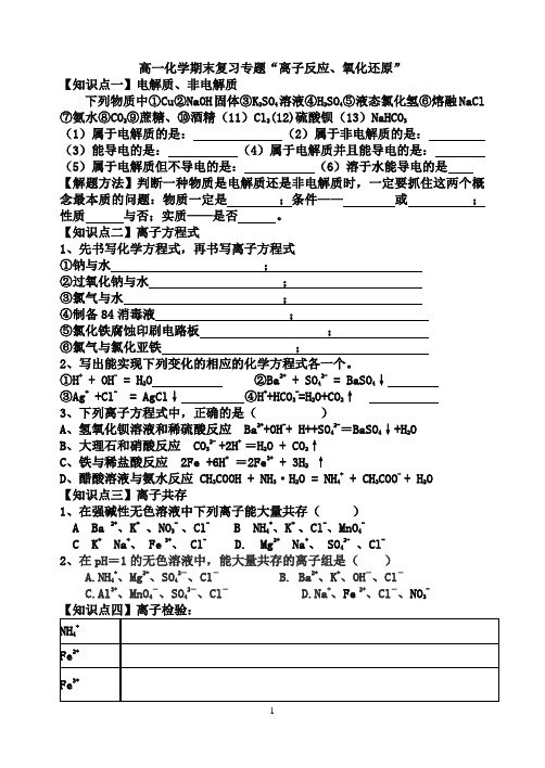 期末复习电解质、氧化还原、离子反应(修改) Microsoft Word 文档