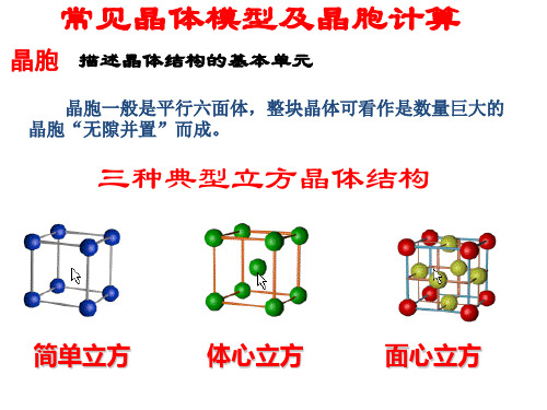 常见晶体模型及晶胞计算