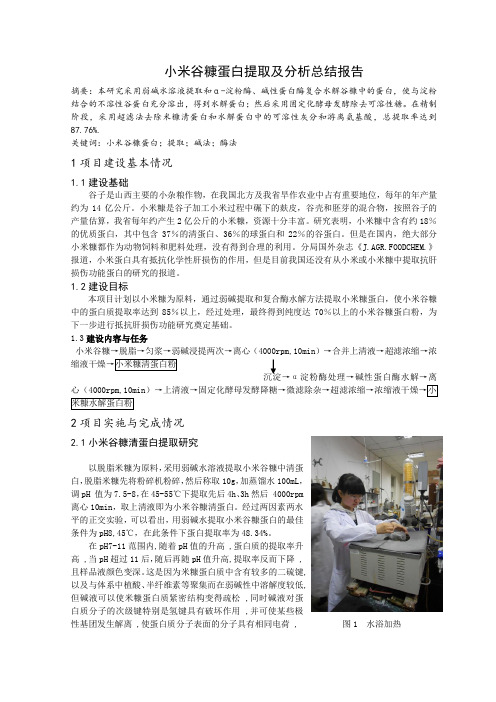 小米谷糠蛋白提取分析总结报告