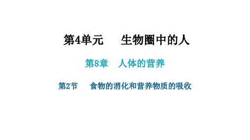 2020-2021学年北师大版七年级生物下册第8章第2节   食物的消化和营养物质的吸收