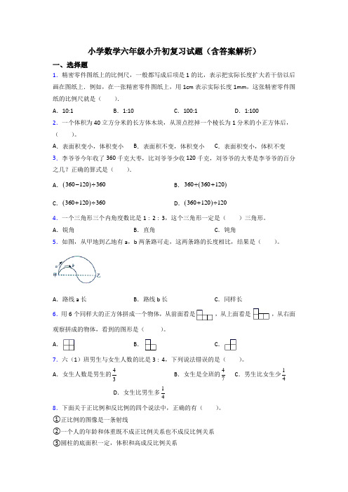 小学数学六年级小升初复习试题(含答案解析)