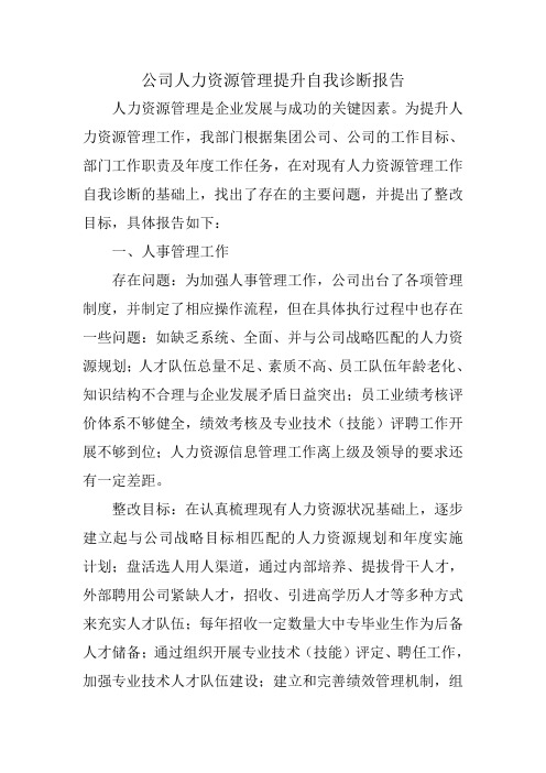 公司人力资源管理提升自我诊断报告