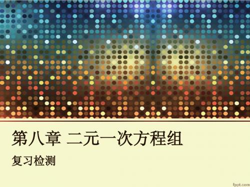 第八章 二元一次方程组