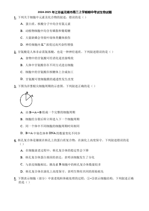 2024-2025年江苏省无锡市高三上学期期中考试生物试题