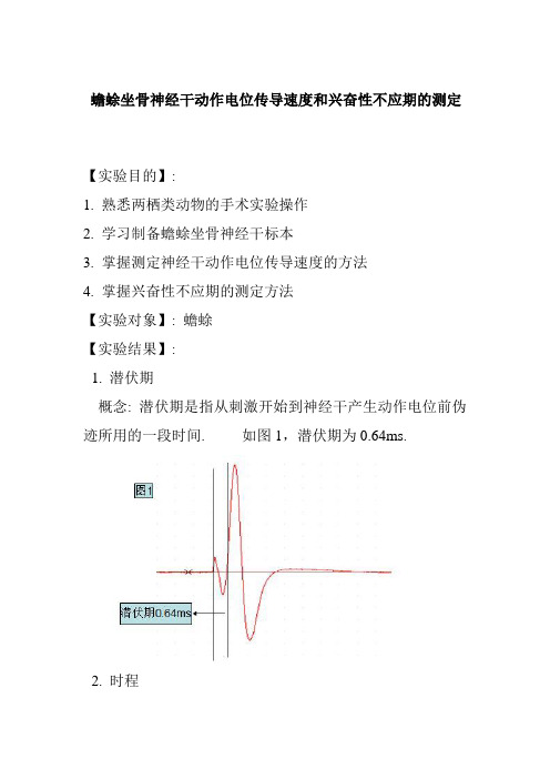 蟾蜍坐骨神经干动作电位传导速度和兴奋性不应期的测定