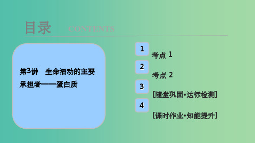 高考生物大一轮复习第一单元细胞及其分子组成第3讲生命活动的主要承担者--蛋白质
