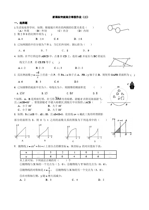 新课标突破高分九年级数学寒假作业(三)