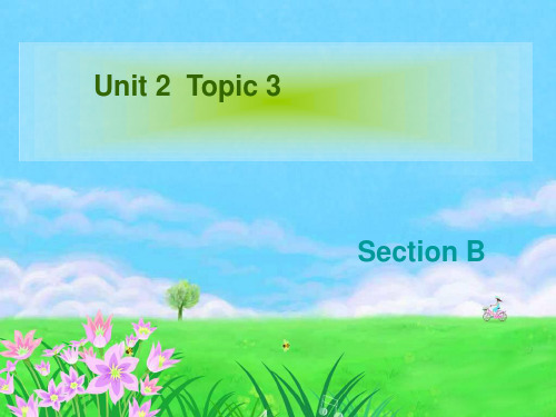 仁爱英语九年级unit2topic3sectionB课件