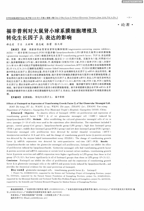 福辛普利对大鼠肾小球系膜细胞增殖及转化生长因子β1表达的影响