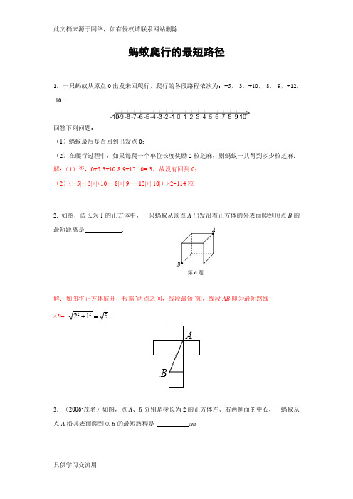 专题训练 蚂蚁爬行的最短路径(含答案)演示教学