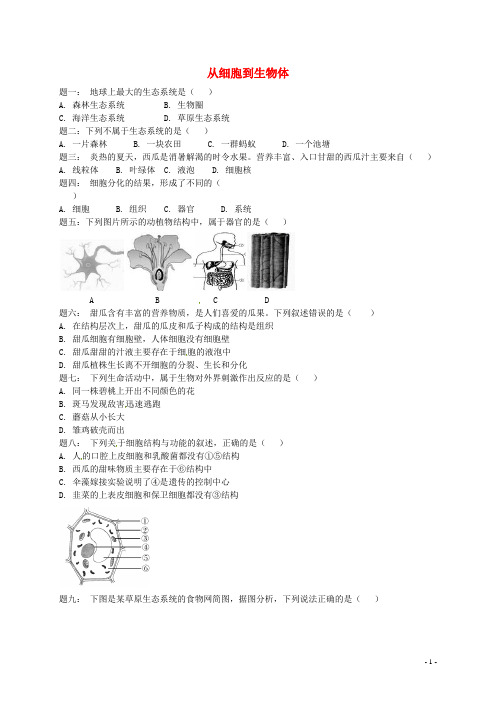 中考生物专题复习 从细胞到生物体新题赏析 新人教版