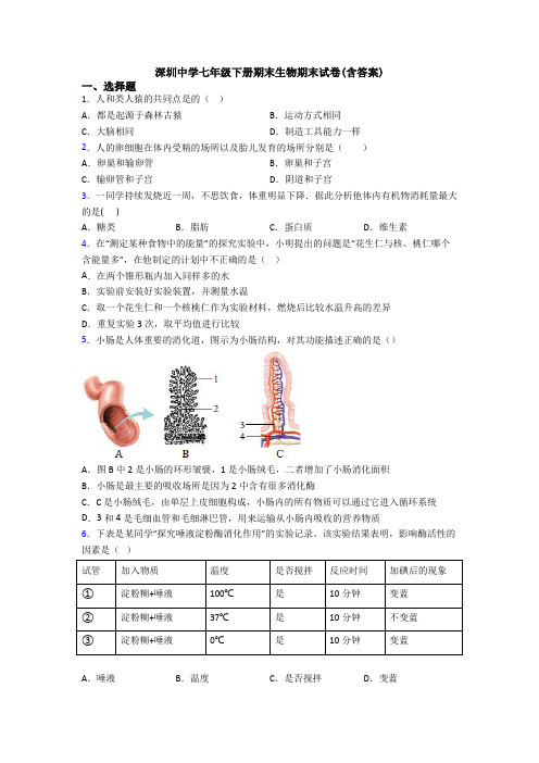 深圳中学七年级下册期末生物期末试卷(含答案)