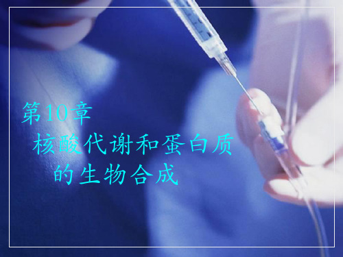 中职生物化学课件第10章