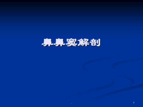 鼻鼻窦解剖ppt演示课件ppt演示课件