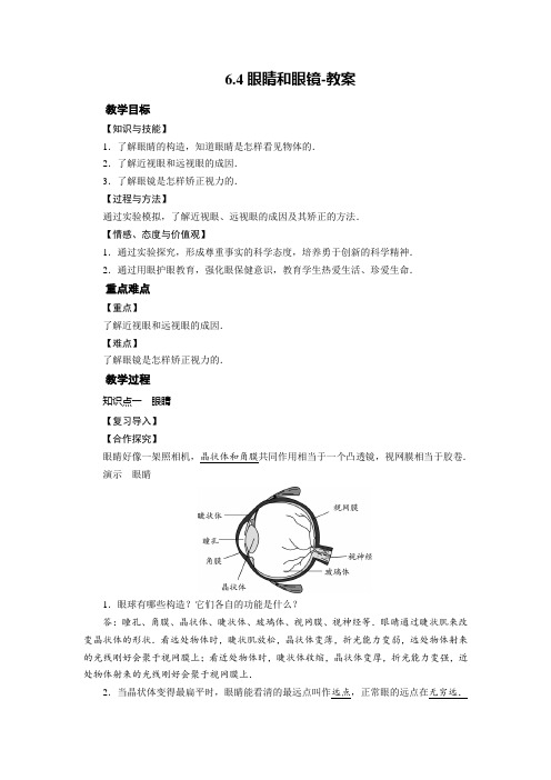 北师大版物理八年级下册眼睛和眼镜 教案