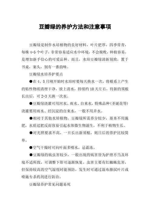 豆瓣绿的养护方法和注意事项