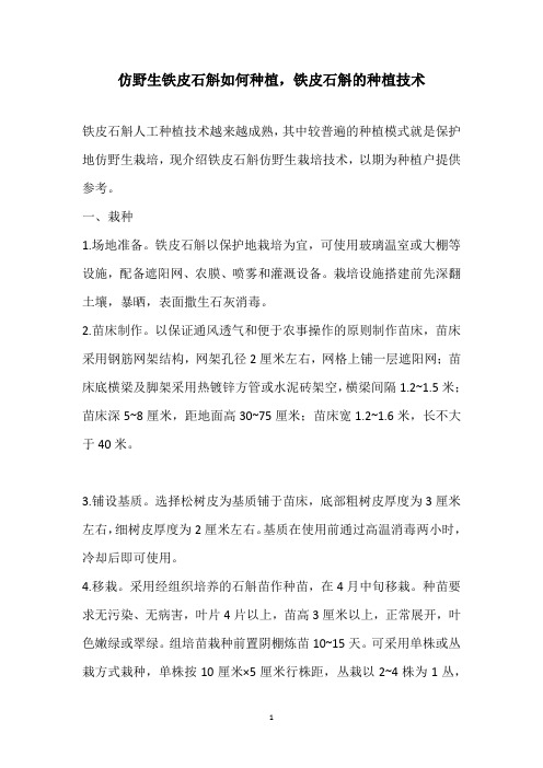 仿野生铁皮石斛如何种植,铁皮石斛的种植技术