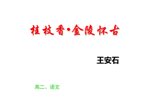 《桂枝香》精选ppt课件