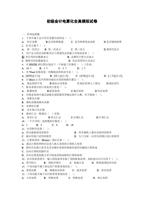 初级会计电算化全真模拟试卷