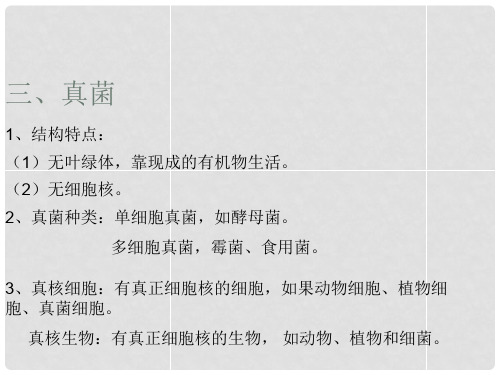 浙江省湖州市浔溪中学七年级科学上册 显微镜下的各种生物课件 浙教版