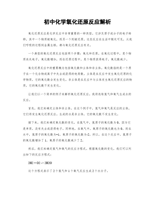 初中化学氧化还原反应解析