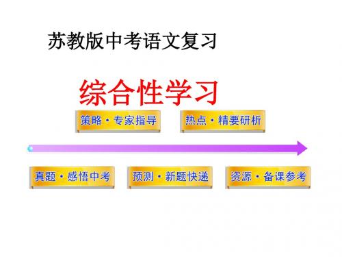 苏教版中考语文总复习ppt课件：综合性学习(117页)