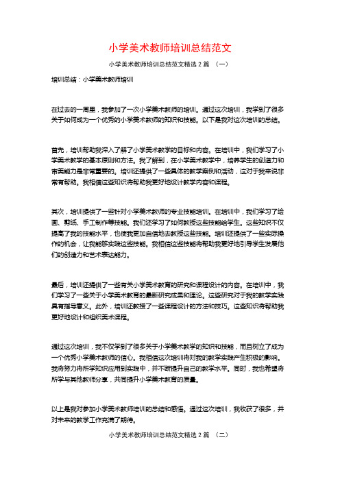 小学美术教师培训总结范文2篇