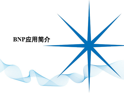 (仅供参考)BNP项目培训资料