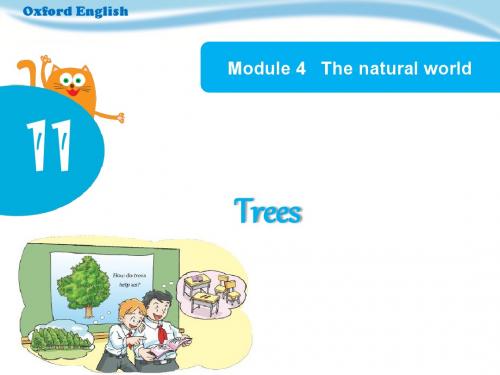 2018年六年级英语上册(牛津上海深圳版) Unit 11《Trees》(Period 2)公开课课件