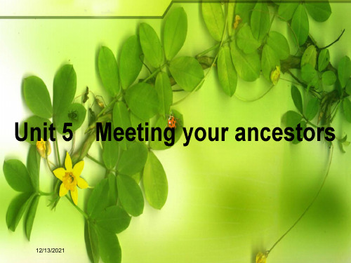 高考英语一轮复习构想 unit 5 meeting your ancestors课件