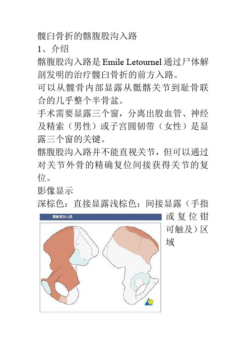 髂腹股沟入路解剖