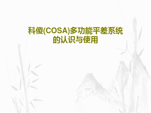 科傻(COSA)多功能平差系统的认识与使用共26页