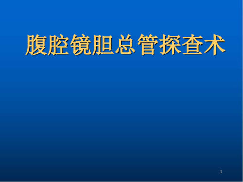 腹腔镜胆总管探查术PPT演示课件