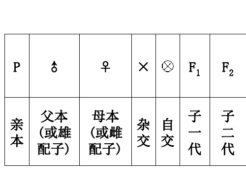 (新教材)高中生物《孟德尔的豌豆杂交实验(一)》PPT人教版1