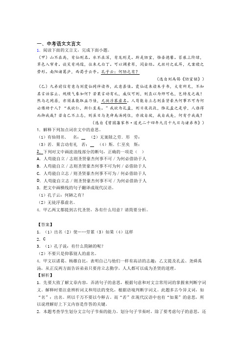 2020-2021备战中考语文与文言文有关的压轴题含答案