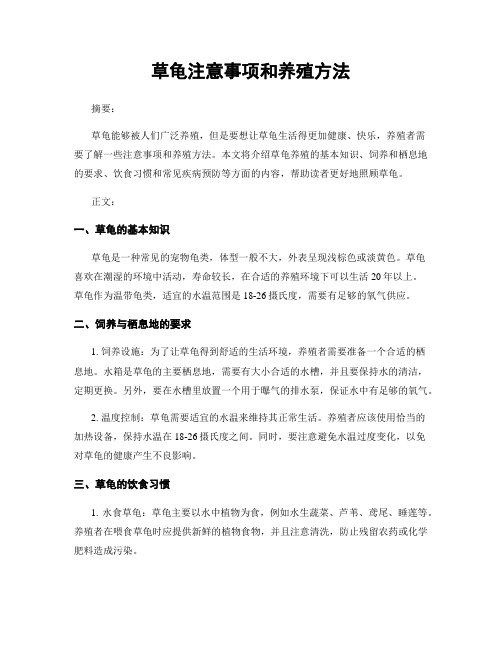 草龟注意事项和养殖方法