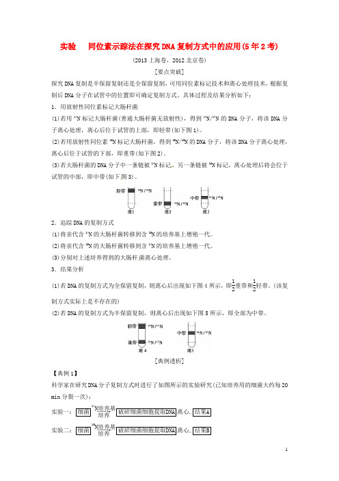 高考生物总复习 实验 同位素示踪法在探究DNA复制方式