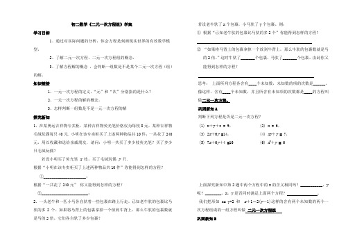 二元一次方程组学案