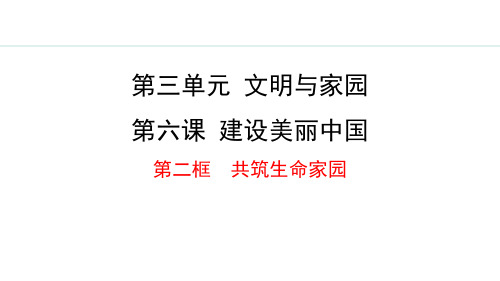 最新部编版道德与法治九年级上册《6.2 共筑生命家园》精品教学课件