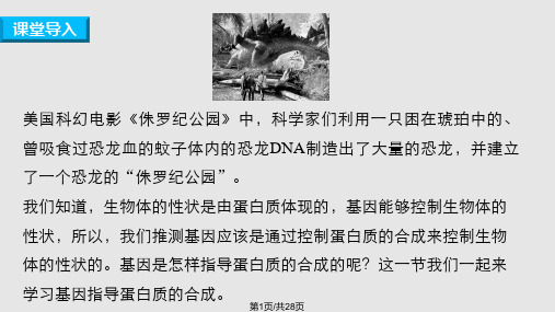 高中生物   遗传信息的表达—RNA和蛋白质的合成件 浙科必修PPT课件