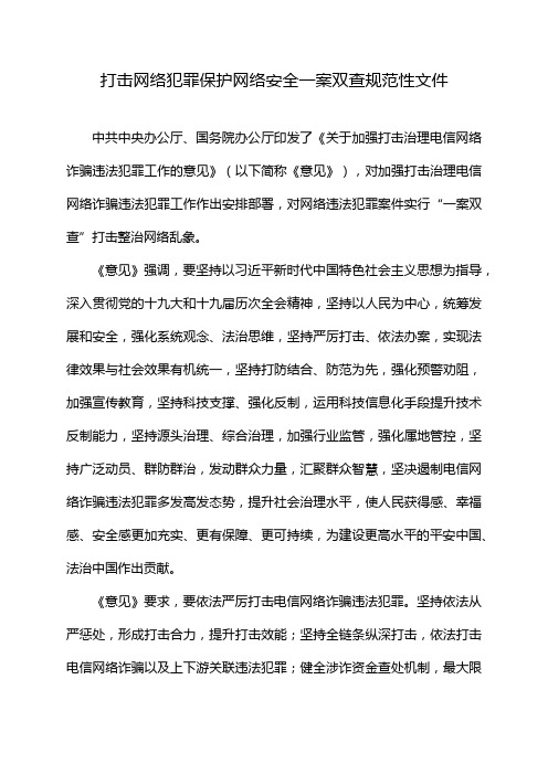 打击网络犯罪保护网络安全一案双查规范性文件