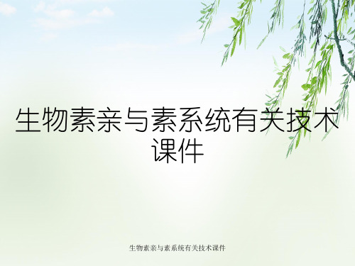 生物素亲与素系统有关技术课件