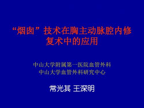 烟囱技术在血管腔内修复术中的应用