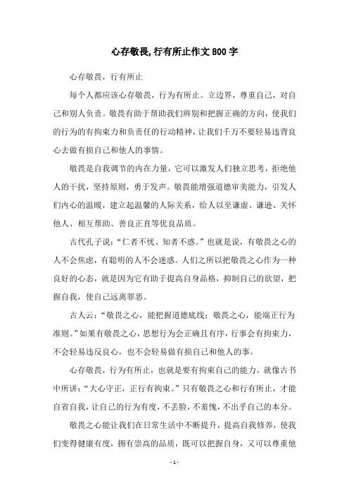 心存敬畏,行有所止作文800字