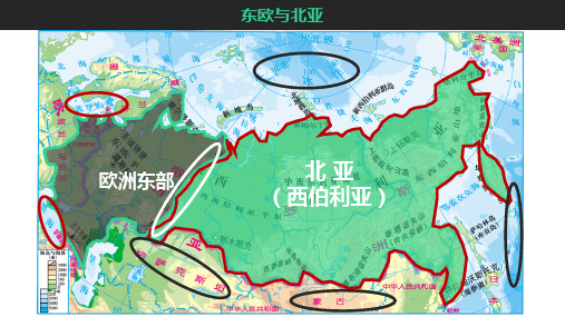 一轮复习高中区域地理 俄罗斯(50张)精品ppt