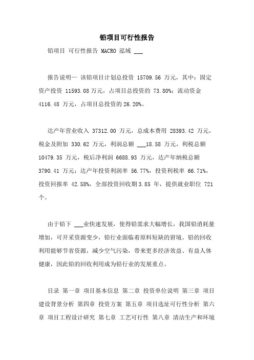 2021年铅项目可行性报告