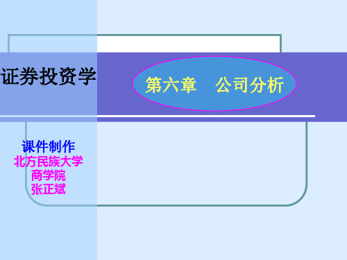 第六章公司分析