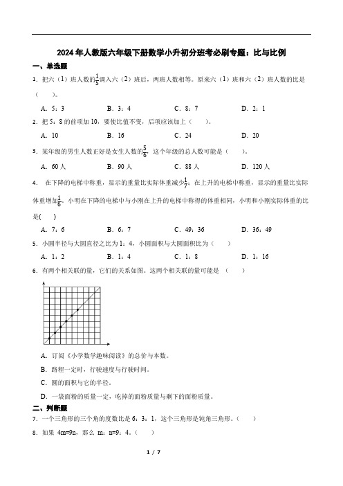 2024年人教版六年级下册数学小升初分班考必刷专题：比与比例